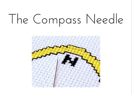 The Compass Needle
